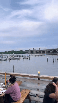 Maryland-Chesapeake Bay blue crab eggs-9YOE9