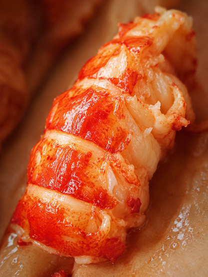 🦞Fresh lobster tail meat with shell-9YOE9