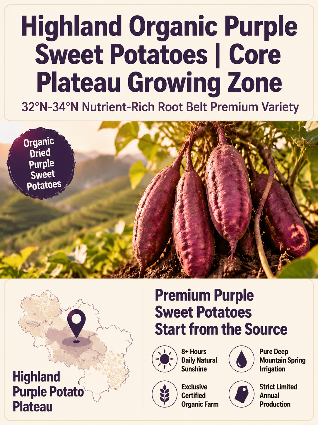 Healthy Low Fat Purple Sweet Potato Snack-9YOE9