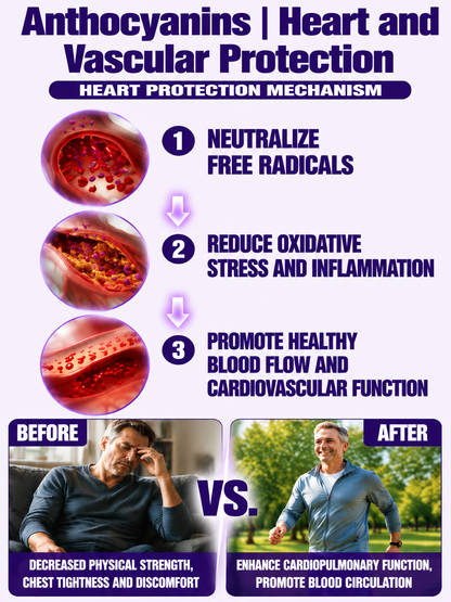 Healthy Low Fat Purple Sweet Potato Snack-9YOE9