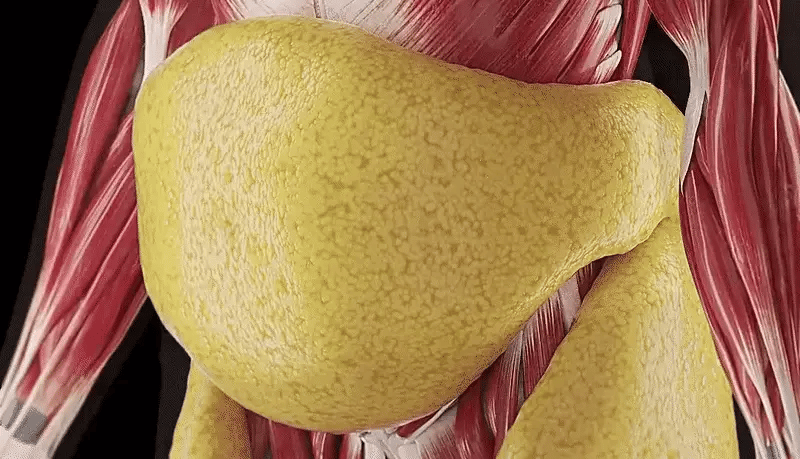 Why Fiber Matters for Weight Management